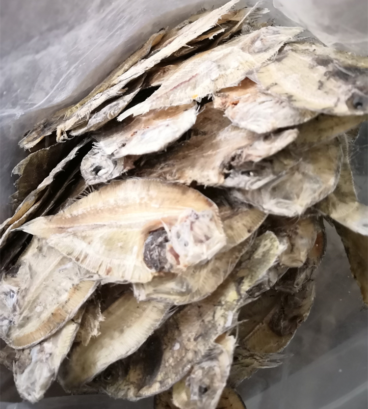 生魚片.jpg